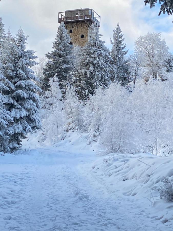 Platynowy Szklarska Poręba Exterior foto